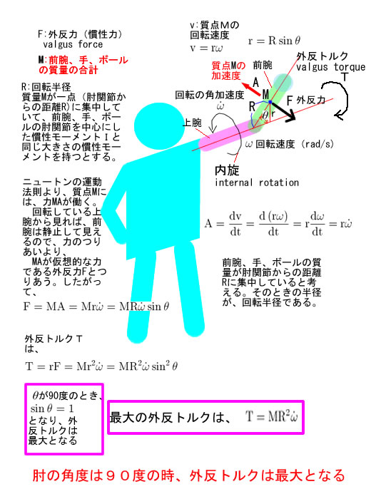 腕の角度と外反トルク(valgus torque).jpg