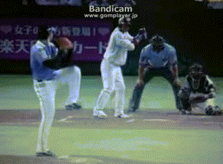 arihara2015ham_slow.gif