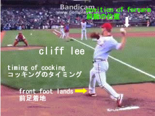 cliff lee_27.jpg