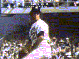 don sutton front side s5.gif