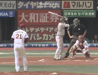 kamada2012.gif