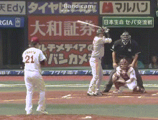 kamada2012_slow.gif