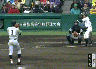 satou sena.gif