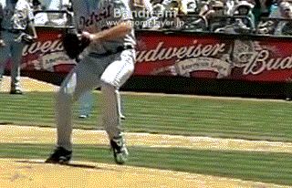 verlander bad front leg.gif
